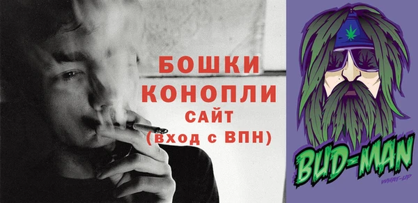 молекула духа Новый Уренгой