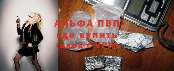 молекула духа Новый Уренгой
