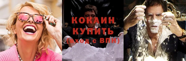 молекула духа Новый Уренгой