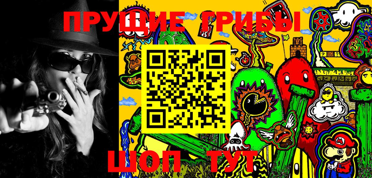 Псилоцибиновые грибы мицелий Иваново